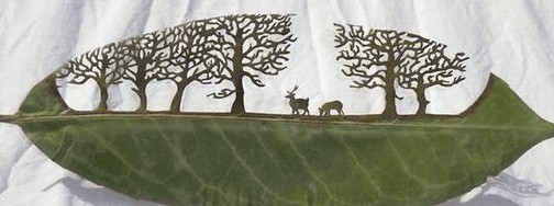 樹(shù)葉激光雕刻樣品圖